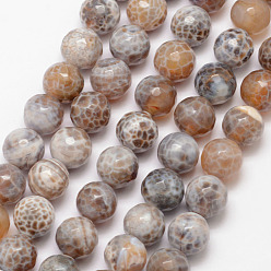 Tan Natural Fire Crackle Agate Bead Strands, Round, Grade A, Faceted, Dyed & Heated, Tan, 10mm, Hole: 1mm, about 37pcs/strand, 15 inch