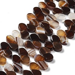 Saddle Brown Natural Agate Beads Strands, Dyed & Heated, Top Drilled, Teardrop, Saddle Brown, 8x5x3mm, Hole: 0.8~1mm, about 52~55pcs/strand, 7.48~7.87 inch(19~20cm)