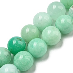 Chrysoprase Grade AA Natural Chrysoprase Beads Strands, Round, 10mm, Hole: 1mm, about 38pcs/strand, 15.51''(39.4cm)