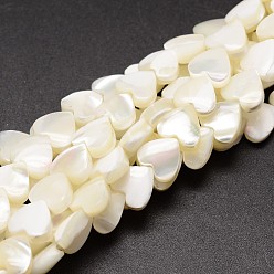 Ivoire Brins de perles de coquille de trochid / trochus shell, cœur, blanc crème, 8x8x3~4mm, Trou: 1mm, Environ 50~53 pcs/chapelet, 15.5 pouce