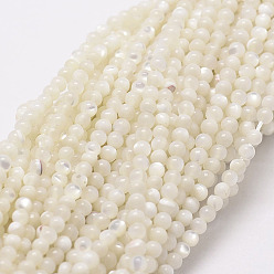 Coquillage Blanc Perles naturelles de coquillages blancs, brins de perles en nacre, ronde, 2mm, trou: 0.5mm, environ 190 pcs/chapelet