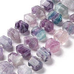 Fluorite Natural Fluorite Beads Strands, Faceted, Double Terminated Pointed/Bullet, 12.5~13x23~23.5x13~14mm, Hole: 1.8mm, about 22pcs/strand, 15.55~15.75 inch(39.5~40cm)