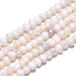 Seashell Color Natural Cultured Freshwater Pearl Beads Strands, Potato, Seashell Color, 2.5~3.5x2~3mm, Hole: 0.6mm, about 139~145pcs/strand, 13.35 inch~13.54 inch(33.9~34.3cm)