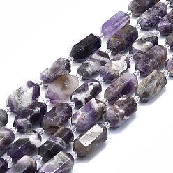 Amethyst Natural Amethyst Beads Strands, Faceted, Double Terminated Pointed/Bullet, 25~27x13~15x12~13mm, Hole: 1.2mm, about 12~13pcs/strand, 15.35 inch(39cm)
