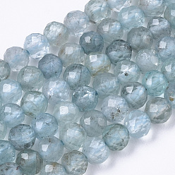 Apatite Perles naturelles apatite brins, ronde, facette, 3mm, Trou: 0.7mm, Environ 125 pcs/chapelet, 15.35 pouce (39 cm)