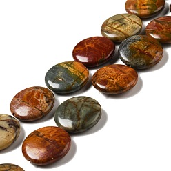Picasso Jasper Natural Picasso Stone/Picasso Jasper Beads Strands, Flat Round, 25x7mm, Hole: 1.5mm, about 16pcs/strand, 15.75''(40cm)