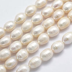 Beige Natural Cultured Freshwater Pearl Beads Strands, Oval, Beige, 9~13x8.5~9mm, Hole: 0.8mm, about 32pcs/strand, 15 inch(38cm)