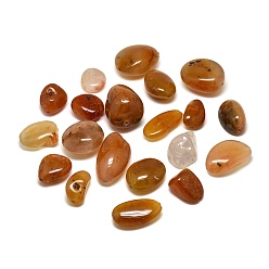 Red Agate Natural Red Agate Beads, Nuggets, Tumbled Stone, Vase Filler Gems, 26~48x23~35x10~33mm, Hole: 1~2mm, about 37pcs/1000g