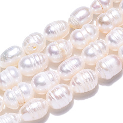 Coquillage De Mer Brins de perles de culture d'eau douce naturelles, perles de riz baroques keshi, couleur de coquillage, 7.7~9.1x5.5~6.6mm, Trou: 0.7~0.8mm, Environ 19~21 pcs/chapelet, 7.09 pouce (18 cm)
