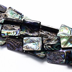 Colorful Natural Paua Shell Beads Strands, Rectangle, Colorful, 13x9x3mm, Hole: 1mm, about 33pcs/strand, 16.3 inch