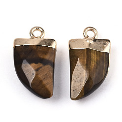 Tiger Eye Natural Tiger Eye Pendants, Top Light Gold Plated, with Iron Loop, Scabbard, Faceted, 20x10.5x5mm, Hole: 1.8mm