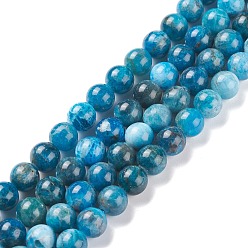 Apatite Natural Apatite Beads Strands, Round, 8mm, Hole: 1mm, about 49pcs/strand, 15.5 inch(39.5cm)