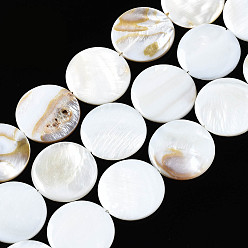 Coquillage De Mer Eau douce naturelle de coquillage perles brins, plat rond, couleur de coquillage, 25x25x3mm, Trou: 1mm, Environ 16 pcs/chapelet, 15.20~15.55 pouce (38.6~39.5 cm)