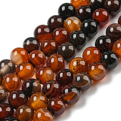 Agate Naturelle Naturelles agate perles brins, teint, ronde, agate naturel, 10~11mm, Trou: 1mm, 39 pcs / chapelet, 15.7 pouce