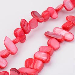 Tomato Natural Shell Bead Strands, Dyed, Nuggets, Tomato, 7~22x6~9x4~6mm, Hole: 1mm, about 52pcs/strand, 15.2 inch