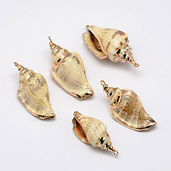 Shell Golden Electroplated Conch Shell Pendants, 26~52x13~23x15~17mm, Hole: 2mm