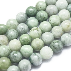Myanmar Jade Natural Myanmar Jade/Burmese Jade Beads Strands, Round, 8mm, Hole: 1mm, about 49pcs/Strand, 15.75 inch(40cm)