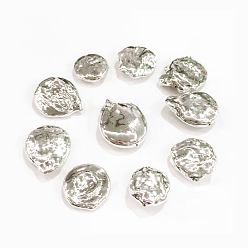 Argent Culture des perles perles d'eau douce naturelles, recouvert de laiton, couleur argent plaqué, 17~29x15~20x4~7mm, Trou: 0.5mm