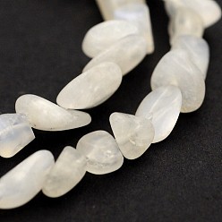 White Moonstone Brins de perles de lune blanche, nuggets, 5~19x4~9x3~9mm, Trou: 0.5~1mm, environ 15.7 pouce