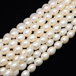 Creamy White Natural Cultured Freshwater Pearl Beads Strands, Rice, Creamy White, 12~14x10~11, Hole: 0.8mm, about 32pcs/strand, 13.77 inch~14.17 inch