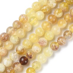 Opale Jaune Jaunes naturelles perles d'opale brins, Grade a, ronde, 6mm, Trou: 0.8mm, Environ 68~69 pcs/chapelet, 15.67'' (39.8 cm)
