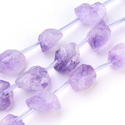 Amethyst Natural Amethyst Beads Strands, Nuggets, 7~24x10~13mm, Hole: 1mm, about 18pcs/strand, 15.5~15.7 inch(39.5~40cm)
