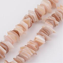 BurlyWood Hebras de perlas shell naturales, Rectángulo, burlywood, 5~17x5~7x1~4 mm, agujero: 1 mm, sobre 200 unidades / cadena, 15.7 pulgada