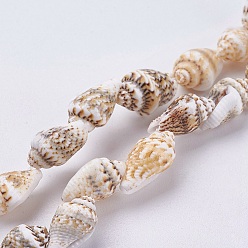 Other Sea Shell Natural Sea Shell Beads Strands, Shell, 11~14x6.5~9x6~7.5mm, Hole: 1~1.2mm, about 39~42pcs/strand, 15.1 inch~15.5 inch.