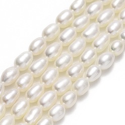 Linen Natural Cultured Freshwater Pearl Beads Strands, Rice, Linen, 5.5~6x4~4.5mm, Hole: 0.6mm, about 56~66pcs/strand, 14.96''(38cm)