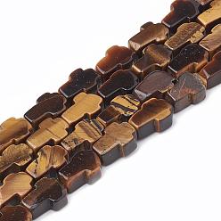 Tiger Eye Natural Tiger Eye Bead Strands, Cross, 12~12.5x8~8.5x4mm, Hole: 1.5mm, about 33pcs/strand, 16.1 inch