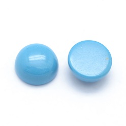 Turquoise Synthétique Cabochons turquoises synthétiques, demi-tour, 12x5~6mm