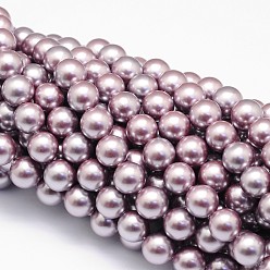 Thistle Shell Pearl Beads Strands, Round, Thistle, 8mm, Hole: 1mm, about 49pcs/strand, 16 inch