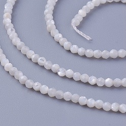 Other Sea Shell Shell Beads Strands, Faceted, Round, 2~2.3mm, Hole: 0.4mm, about 197pcs/strand, 15.55 inch(39.5cm)