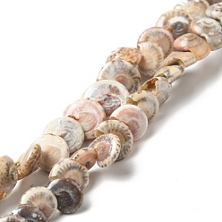 Coquillage En Spiral Naturelles en spirale de Shell brins de perles, peachpuff, 5.5~7x5~7x2.5~7.5mm, Trou: 0.9mm, Environ 96 pcs/chapelet, 14.88 pouce (37.8 cm)