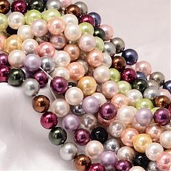 Couleur Mélangete Coquille ronde perles brins de perles, couleur mixte, 6mm, Trou: 0.8mm, Environ 60 pcs/chapelet, 15.74 pouce