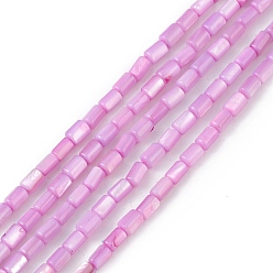 Plum Natural Freshwater Shell Dyed Beads Strands, Column, Plum, 4.8x3mm, Hole: 0.8mm, about 78pcs/strand, 14.96''(38cm)
