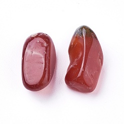 Красный Агат Природные сердолика бусы, неразрушенное / без отверстия, окрашенные, чипсы, 5~19x4~10x2~7 мм, о 100 г / мешок
