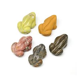 Смешанные камни Украшения из смешанного камня, 3 d лягушка, 49~53x30~32x24~26 мм