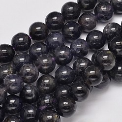 Iolite Natural Cordierite/Iolite/Dichroite Round Bead Strands, 8mm, Hole: 1mm, about 51pcs/strand, 15.5 inch