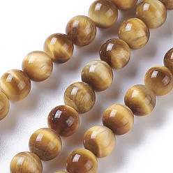 Verge D'or Chapelets de perles oeil de tigre naturelles, ronde, teints et chauffée, verge d'or, 8mm, Trou: 1mm, Environ 49~51 pcs/chapelet, 15.3 pouces ~ 15.75 pouces (39~40 cm)