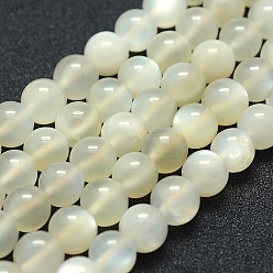 White Moonstone Natural White Moonstone Beads Strands, Grade AB+, Round, 8mm, Hole: 1mm, about 49pcs/strand, 15.5 inch(39.5cm)