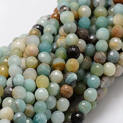 Flower Amazonite Faceted Round Natural Flower Amazonite Bead Strands, 6mm, Hole: 1mm, about 68pcs/strand, 15.3 inch