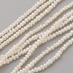 Blanc Antique Brins de perles de culture d'eau douce naturelles, pomme de terre, blanc antique, 2.5~3x1.5~1.8mm, Trou: 0.5mm, Environ 210 pcs/chapelet, 15.5~15.7 pouce (39.5~40 cm)