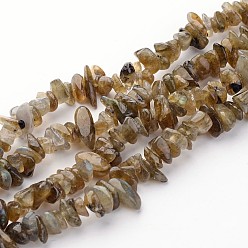 Labradorite Copeaux de labradorite naturelle perles brins, 5~8mm, Trou: 0.3mm, environ 32~32.5 pouce