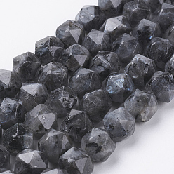 Larvikite Natural Black Larvikite Beads Strands, Faceted, Round, 8x7mm, Hole: 1mm, about 49pcs/strand, 15.3 inch(39cm)