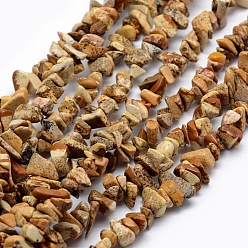 Picture Jasper Natural Picture Jasper Beads Strands, Chip, 5~8mm, Hole: 1mm, about 33 inch(84cm)