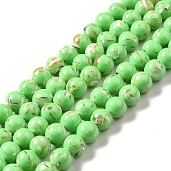 Vert Perles de turquoise synthétique et coquillage assemblées, teint, ronde, verte, 12mm, Trou: 1.4mm, Environ 33 pcs/chapelet, 15.55'' (39.5 cm)