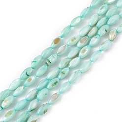 Medium Aquamarine Natural Freshwater Shell Dyed Beads Strands, Horse Eye, Medium Aquamarine, 9.5x5mm, Hole: 0.8mm, about 41pcs/strand, 14.96''(38cm)
