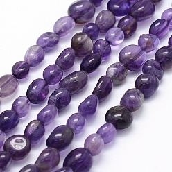 Amethyst Natural Amethyst Beads Strands, Oval, 5~12x6~9x4~7mm, Hole: 1mm, about 50~53pcs/strand, 15.3 inch~15.7 inch