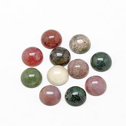 Indian Agate Natural Indian Agate Cabochons, Half Round/Dome, 10x4~5mm